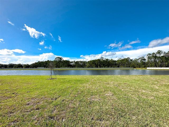 484 SUN WARBLER WAY, St Cloud, FL 34771