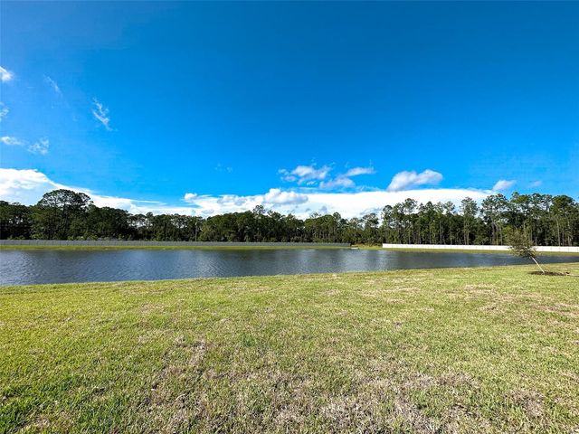 484 SUN WARBLER WAY, St Cloud, FL 34771