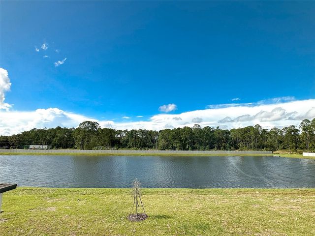 484 SUN WARBLER WAY, St Cloud, FL 34771