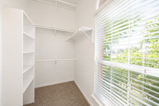 10057 Wyndbrook Drive, Frisco, TX 75035