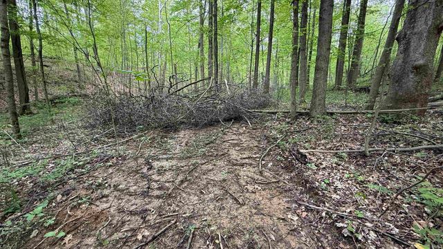 3 Fiscus Cemetery Road, Coal City, IN 47427