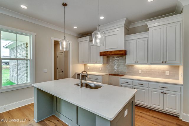 117 Charleston Lane, Madison, MS 39110