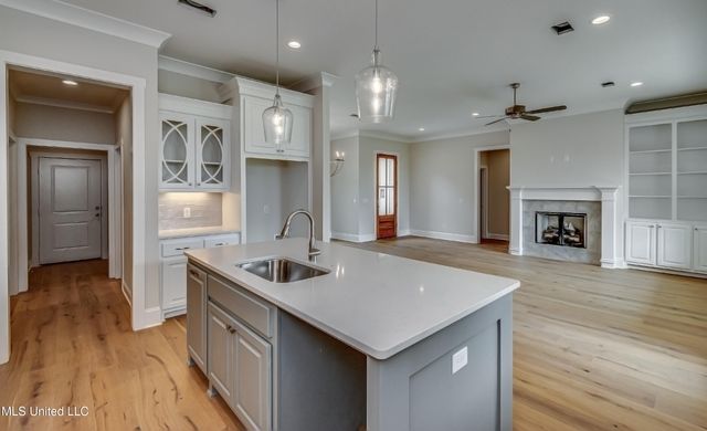 117 Charleston Lane, Madison, MS 39110