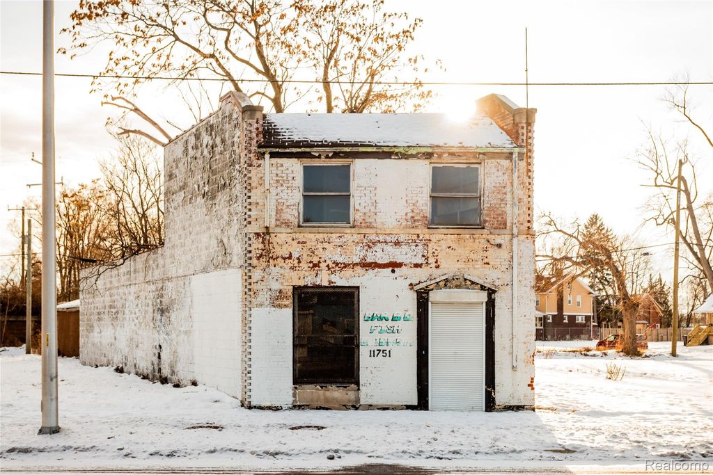 11751 Grand River Avenue, Detroit, MI 48204