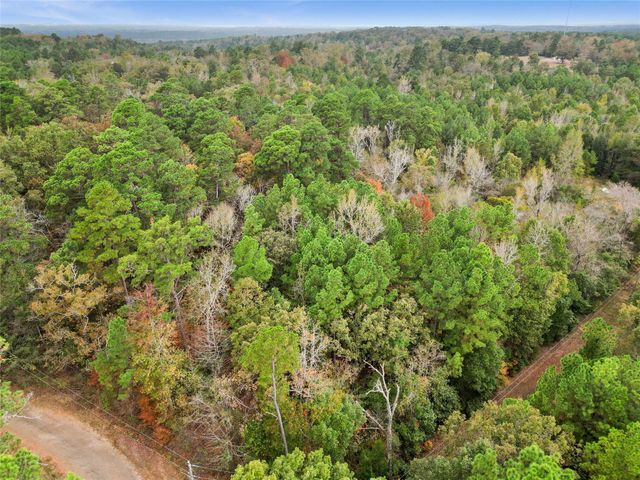 TBD Mountainview Road N, Winona, TX 75792