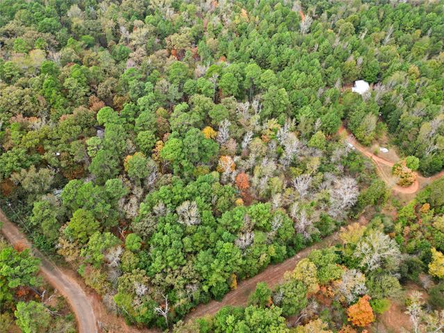 TBD Mountainview Road N, Winona, TX 75792