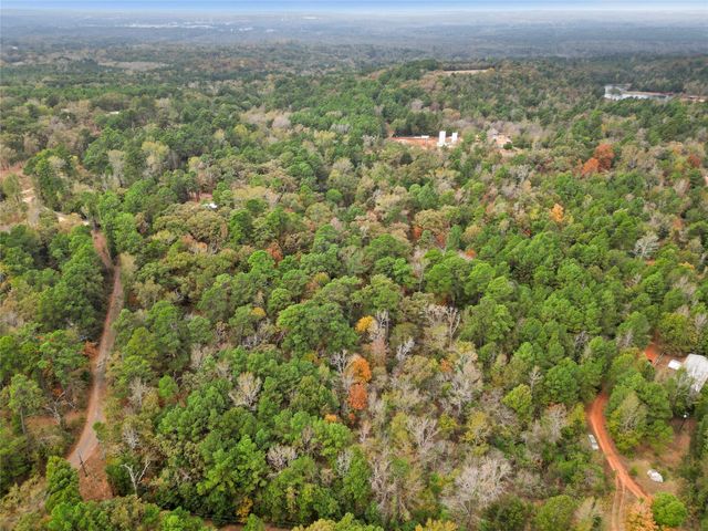 TBD Mountainview Road N, Winona, TX 75792