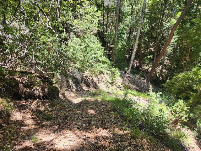 510 East Road, Boulder Creek, CA 95006