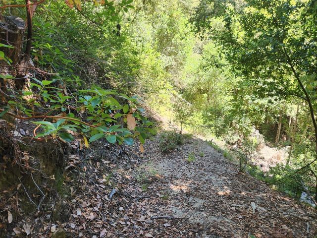 510 East Road, Boulder Creek, CA 95006