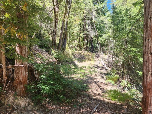 510 East Road, Boulder Creek, CA 95006