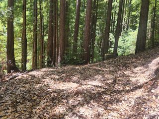 510 East Road, Boulder Creek, CA 95006