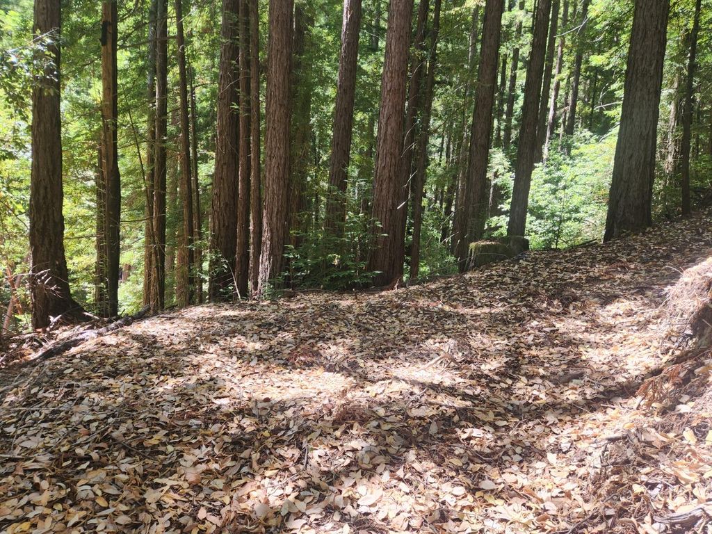 510 East Road, Boulder Creek, CA 95006