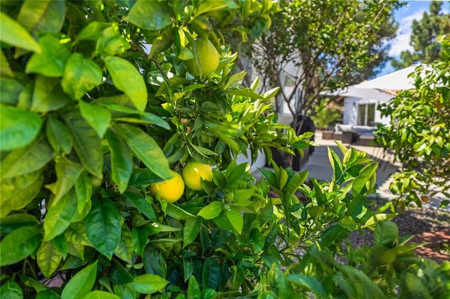5006 Sunrose Court, Oceanside, CA 92056