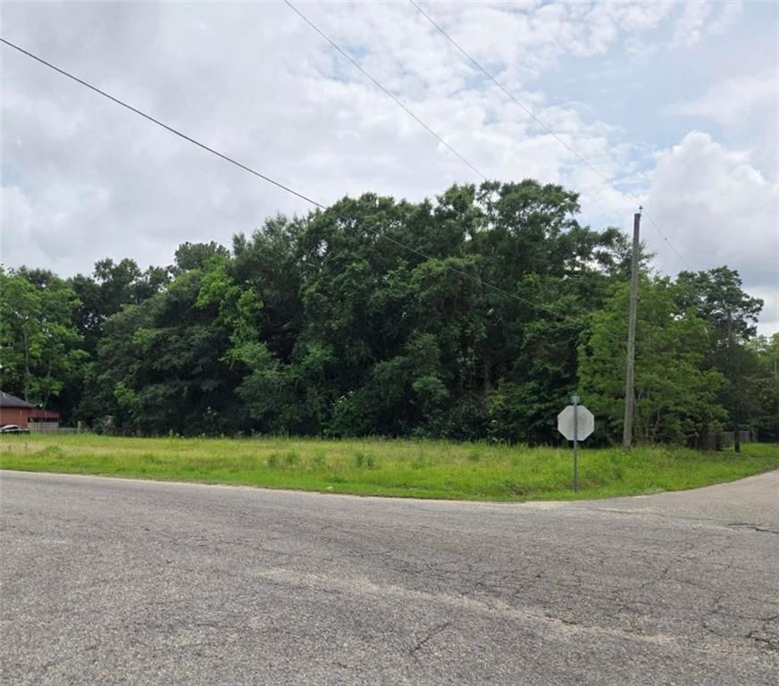 0 Whistler Street, Mobile, AL 36610 — photo 5