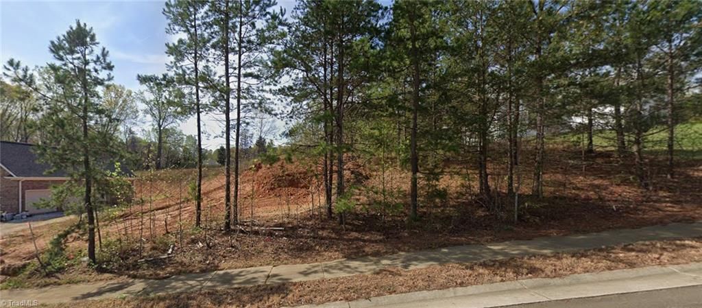 7442 Birchbend Lane Lot 7, Lewisville, NC 27023
