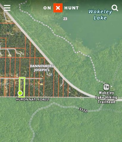 4240 Diamond Drive, Grayling, MI 49738