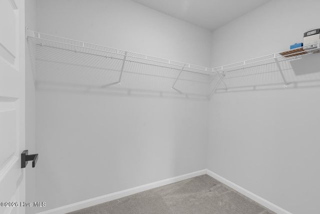 6514 Green Fennel Avenue SW, Ocean Isle Beach, NC 28469