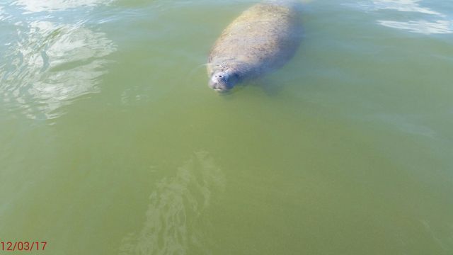 1530 Ocean Bay Dr Apt 411, Key Largo, FL 33037