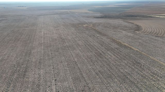 0 CR 470, Brownfield, TX 79316