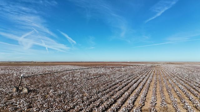 0 CR 470, Brownfield, TX 79316