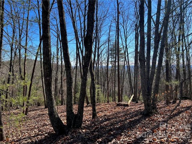 0 Taylorsville Road Tract 3, Taylorsville, NC 28681