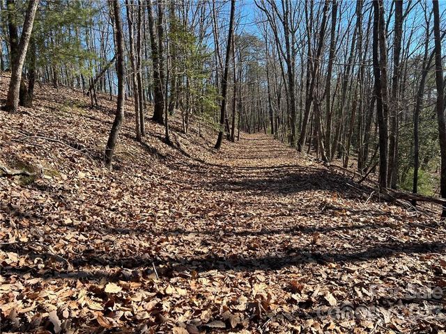 0 Taylorsville Road Tract 3, Taylorsville, NC 28681