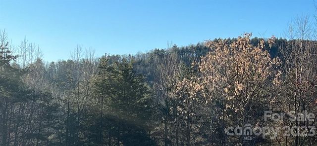 0 Taylorsville Road Tract 3, Taylorsville, NC 28681