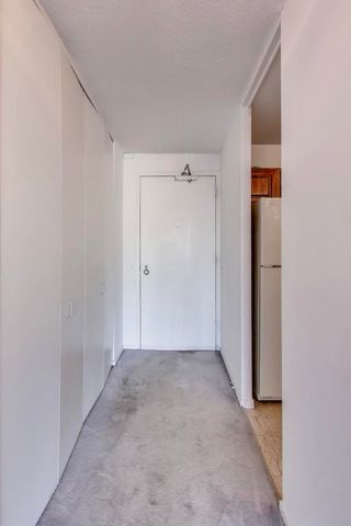 901 S Plymouth Court 1904, Chicago, IL 60605