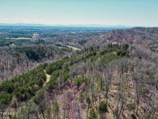 Tbd Stone Mountain Rd., Bulls Gap, TN 37711