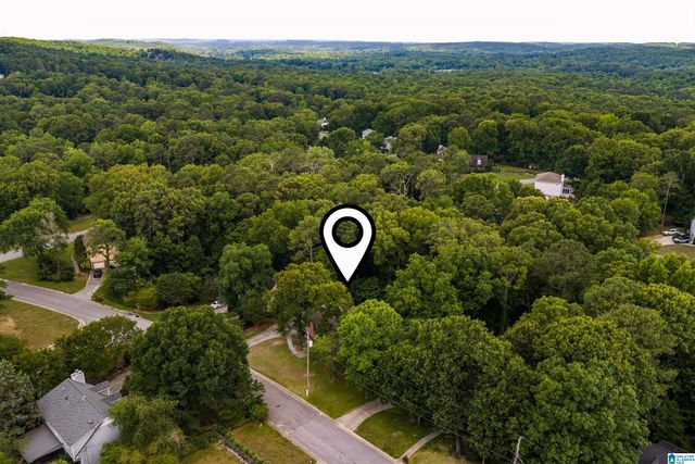 1209 SEQUOIA TRAIL, Alabaster, AL 35007