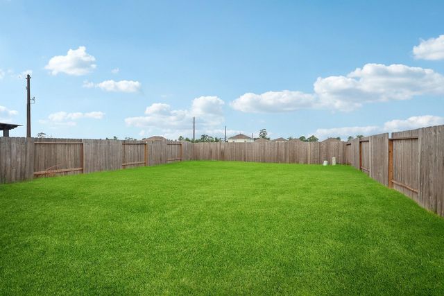 10707 Bird Of Paradise Lane, Houston, TX 77016