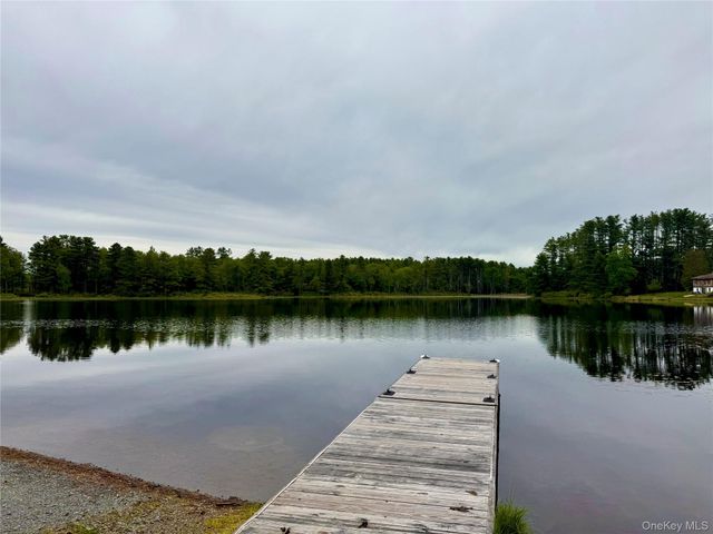 203 Wildwood Way, Forestburgh, NY 12777