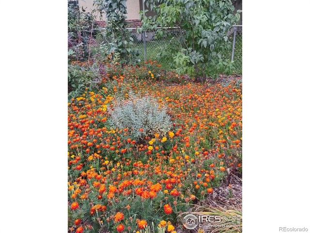 3333 W Wagon Trail Drive, Englewood, CO 80110