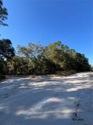TBD SE 179TH PLACE, Summerfield, FL 34491