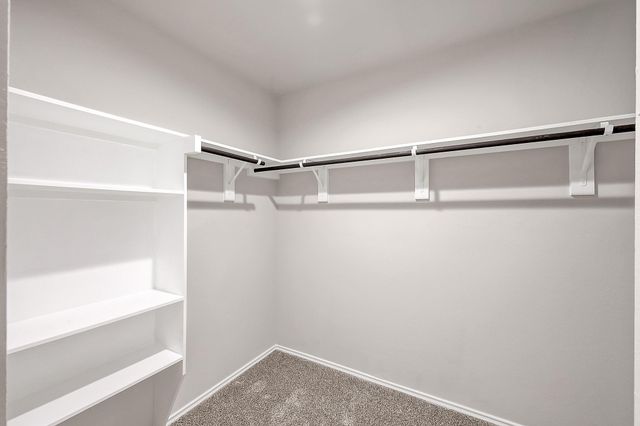 40324 Blossom Valley Lane, Magnolia, TX 77354