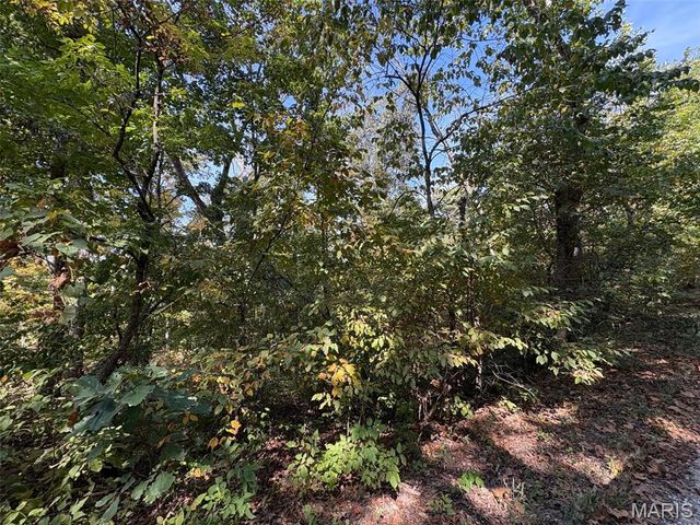Lot 95 Deer Run Trail, New Florence, MO 63363