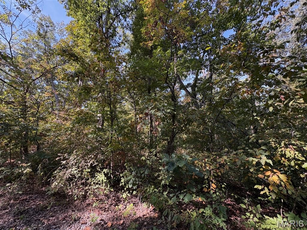 Lot 95 Deer Run Trail, New Florence, MO 63363