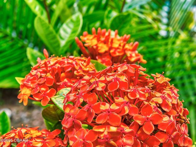 544 S Palmetto Avenue, Daytona Beach, FL 32114