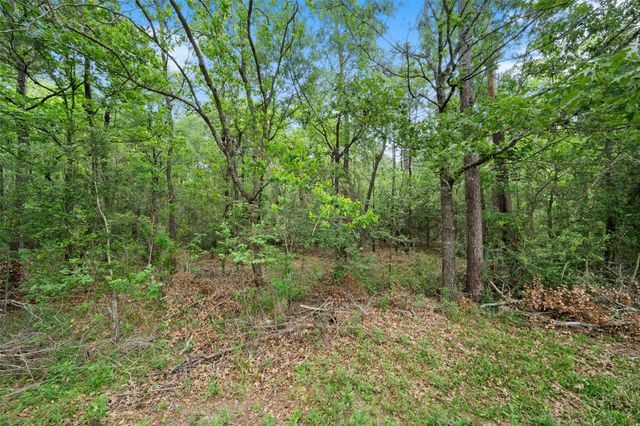 18118 Outback Lakes Trail, Humble, TX 77346