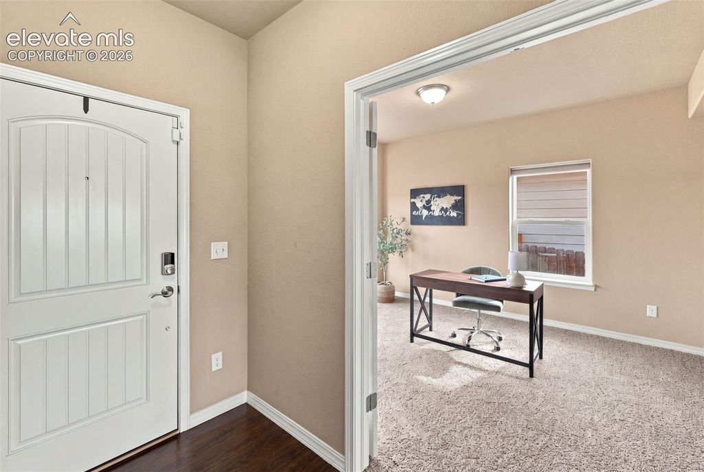 5954 Finglas Drive, Colorado Springs, CO 80923 — photo 3