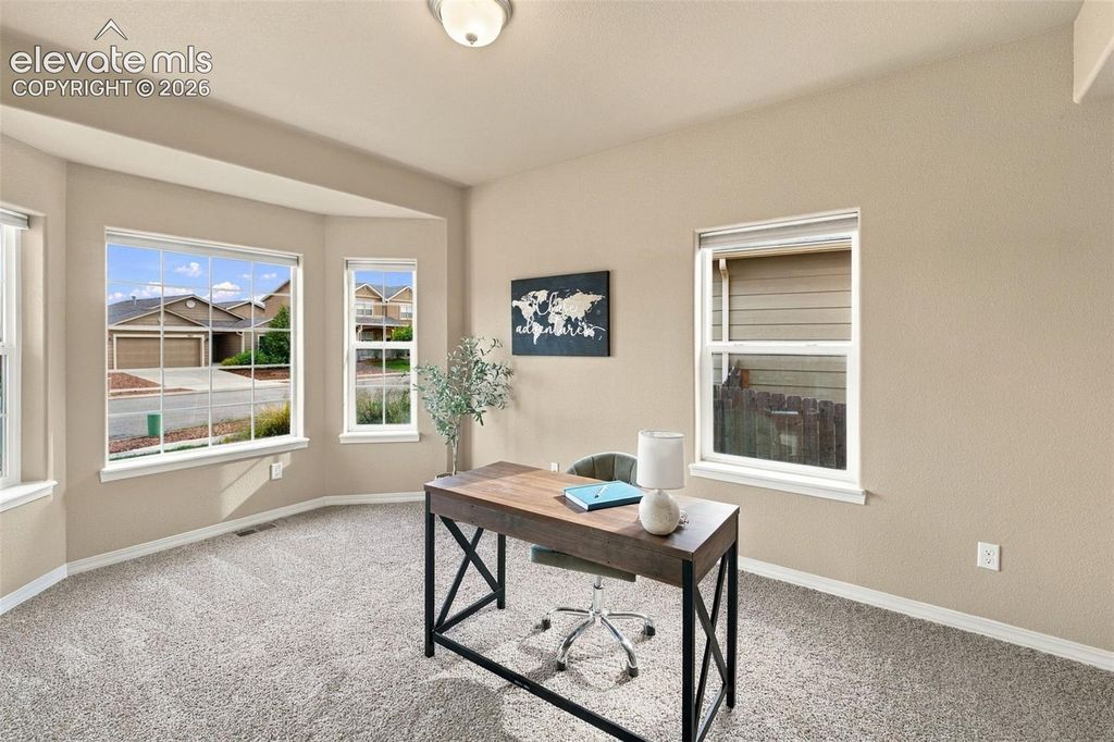 5954 Finglas Drive, Colorado Springs, CO 80923 — photo 4
