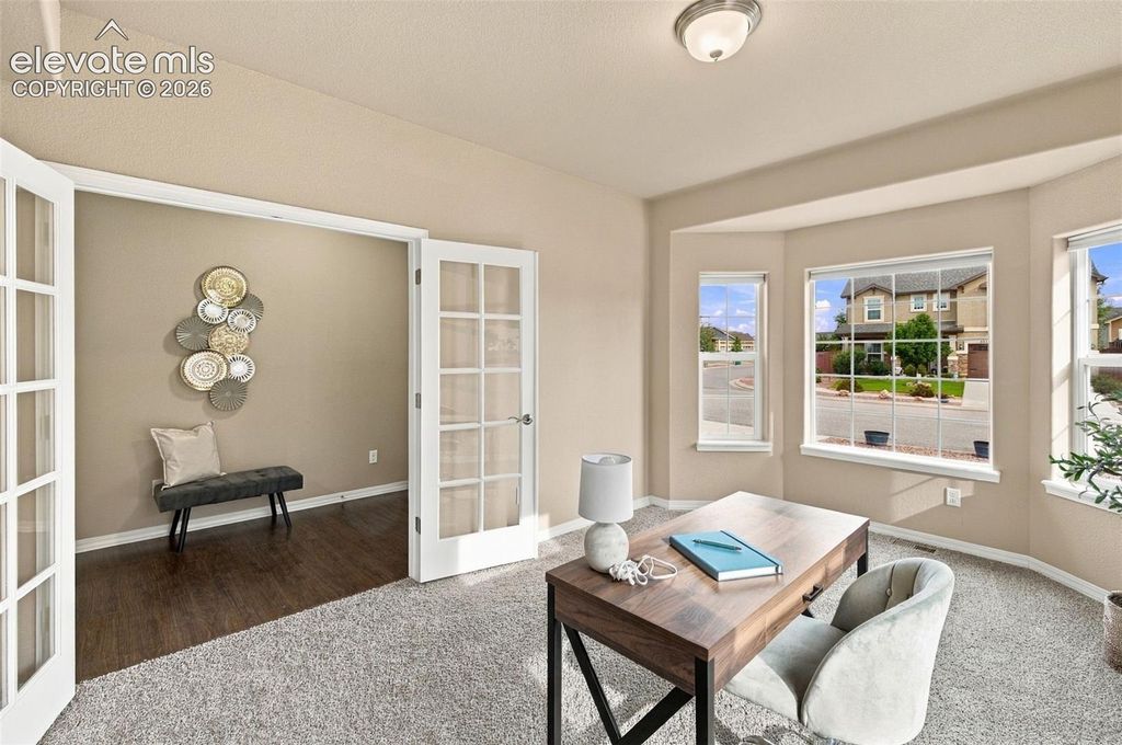 5954 Finglas Drive, Colorado Springs, CO 80923 — photo 5