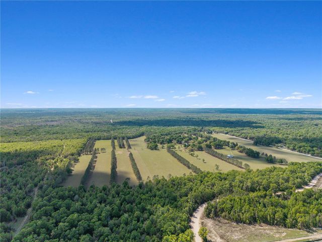 4639 SW WILSON SPRINGS ROAD, Fort White, FL 32038