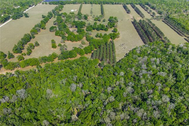 4639 SW WILSON SPRINGS ROAD, Fort White, FL 32038