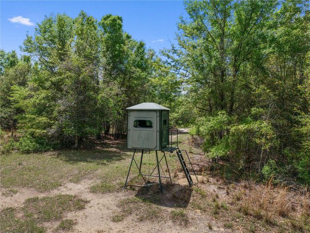 4639 SW WILSON SPRINGS ROAD, Fort White, FL 32038