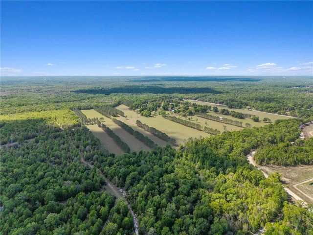 4639 SW WILSON SPRINGS ROAD, Fort White, FL 32038