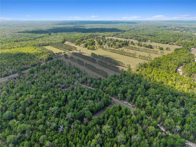 4639 SW WILSON SPRINGS ROAD, Fort White, FL 32038