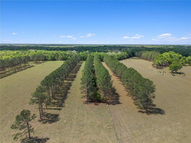 4639 SW WILSON SPRINGS ROAD, Fort White, FL 32038