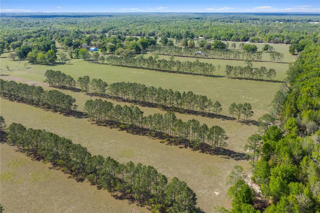 4639 SW WILSON SPRINGS ROAD, Fort White, FL 32038
