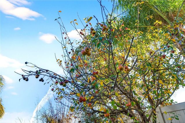 42824 Woody Knoll, Murrieta, CA 92562